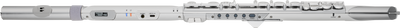 Roland AE-BRISA Aerophone Digital Wind Instrument