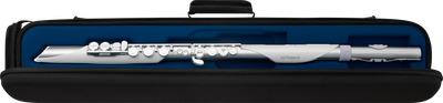 Roland AE-BRISA Aerophone Digital Wind Instrument