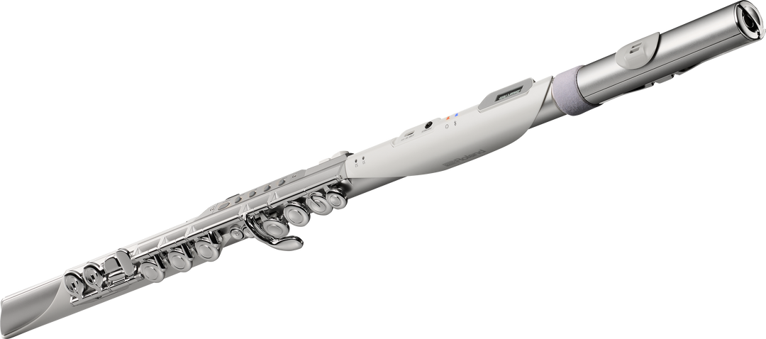 Roland AE-BRISA Aerophone Digital Wind Instrument – Roland Store