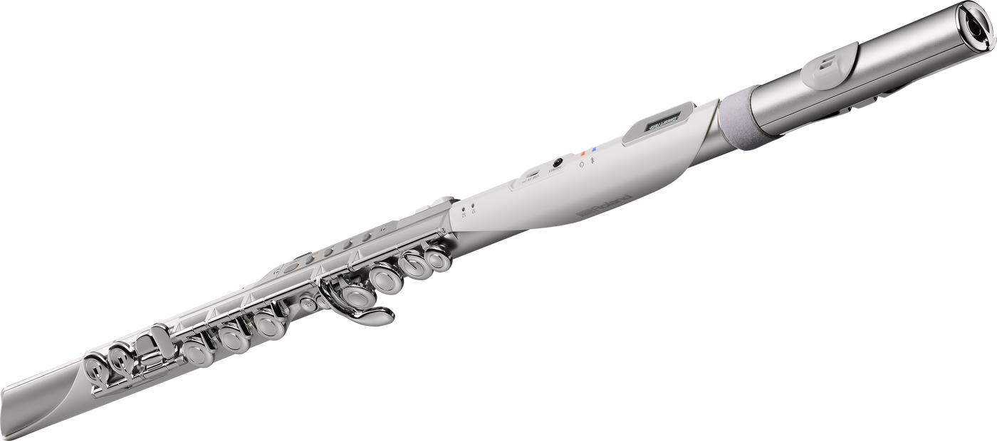 Roland AE-BRISA Aerophone Digital Wind Instrument