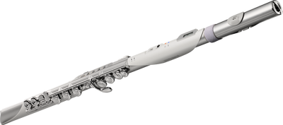 Roland AE-BRISA Aerophone Digital Wind Instrument