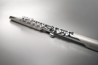 Roland AE-BRISA Aerophone Digital Wind Instrument