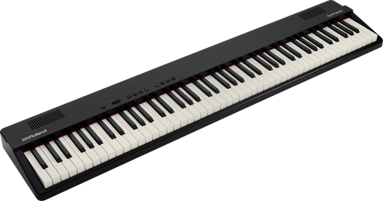 Roland GO-88P 88鍵盤 Roland GO-PIANO 88-Key Portable Keyboard - The Music Den