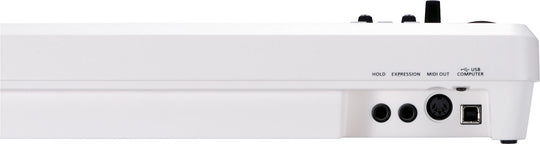 Roland A-49-WH MIDI Controller Keyboard, 49 keys (White) – Roland