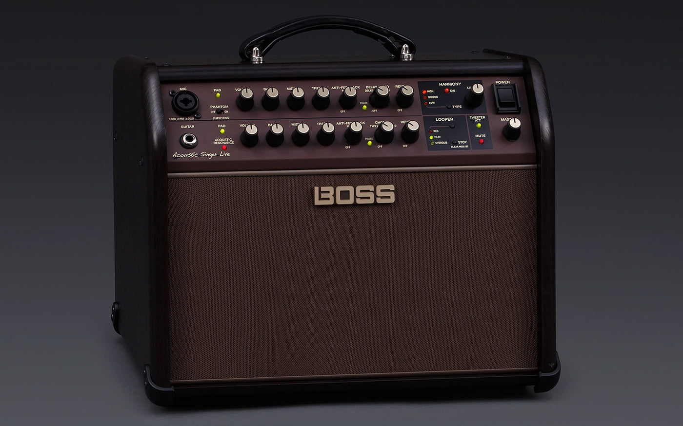 BOSS ACS-LIVE 60 Watt Acoustic Singer Live  Combo