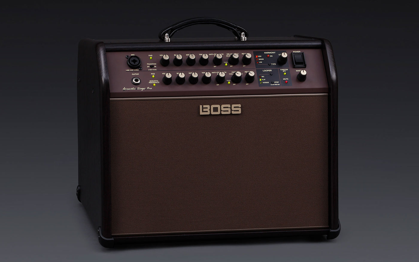 BOSS ACS-PRO 120 Watt Acoustic Singer Pro Amp