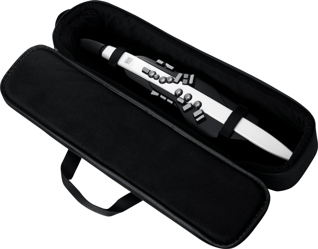 Roland AE-20 Aerophone Digital Wind Instrument – Roland Store London