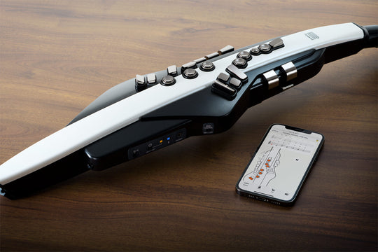 Roland AE-20 Aerophone Digital Wind Instrument – Roland Store London