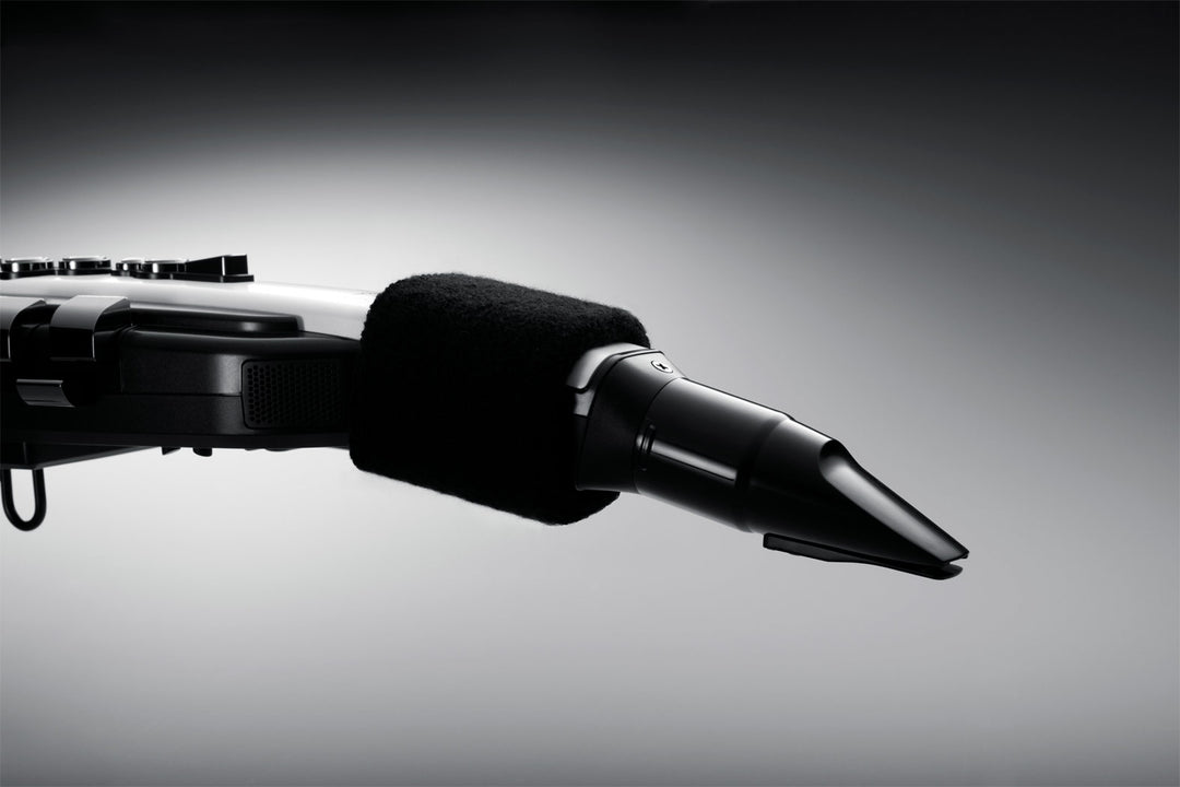 Roland AE-20 Aerophone Digital Wind Instrument – Roland Store London