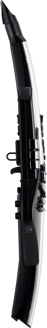 Roland AE-30 Aerophone Digital Wind Instrument