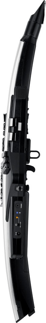 Roland AE-30 Aerophone Digital Wind Instrument