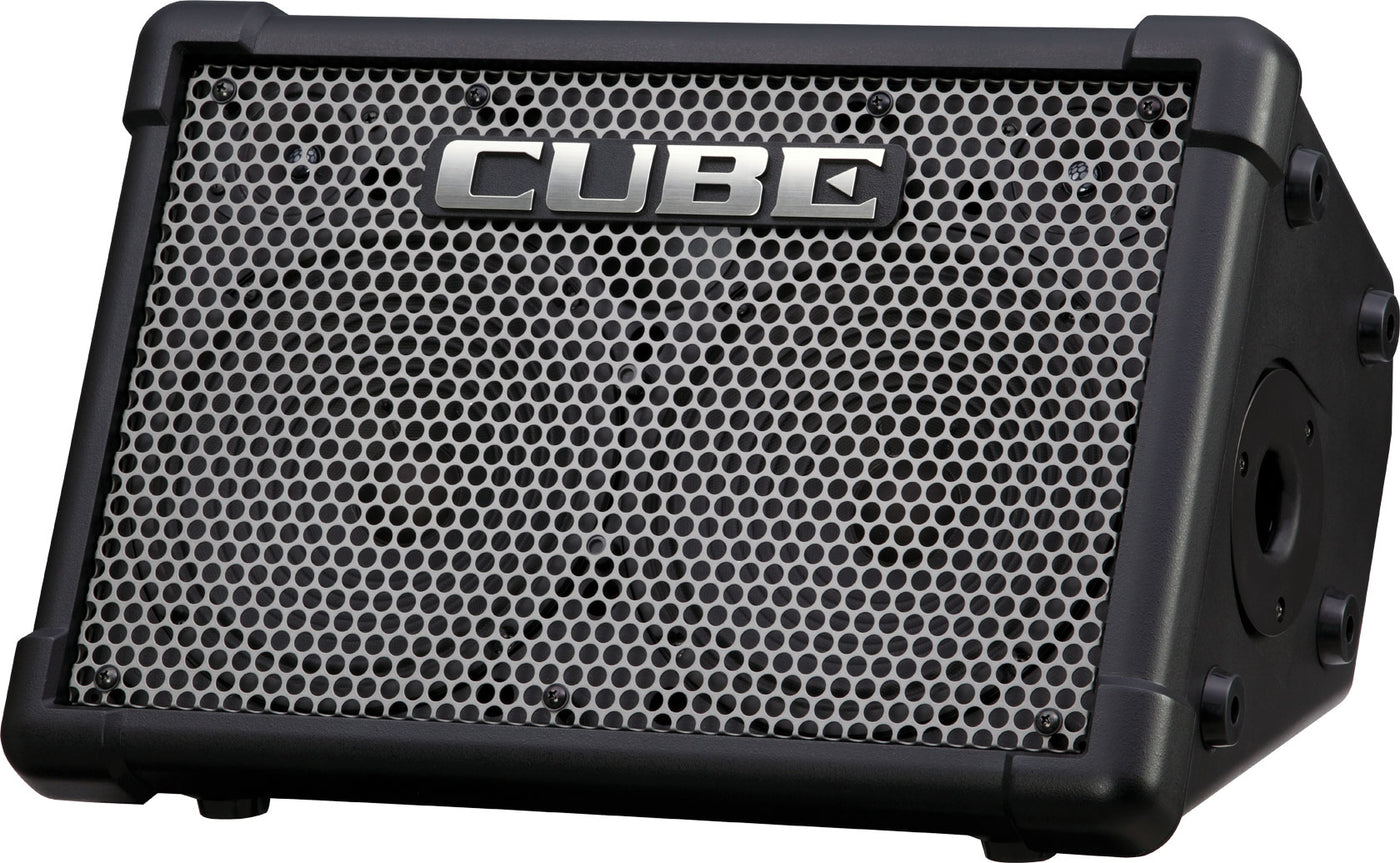 Roland CUBE-STEX 25W + 25W Stereo Battery Powered PA with COSM (Black)