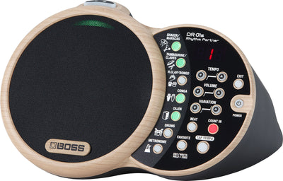 BOSS DR-01S Digital Percussion Accompaniment For Acoustic Performers