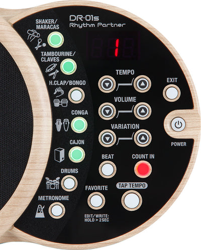 BOSS DR-01S Digital Percussion Accompaniment For Acoustic Performers