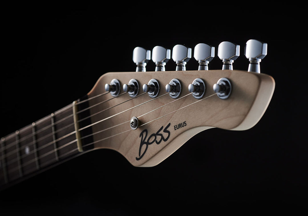 BOSS EURUS GS-1 ギターシンセ Made In Japan eurus_gs-1_main.jpg