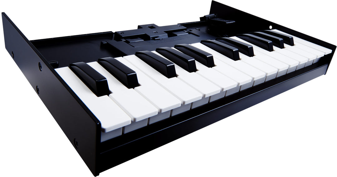 Roland K-25M 25 Key Keyboard For Use with Boutique Modules