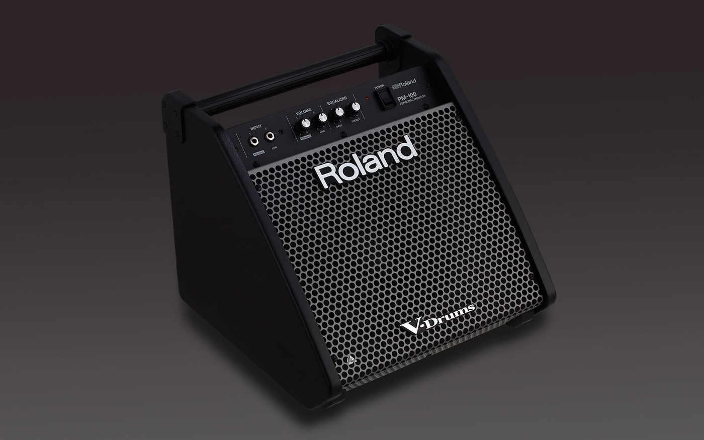 Roland PM-100 80 Watt Personal Monitor