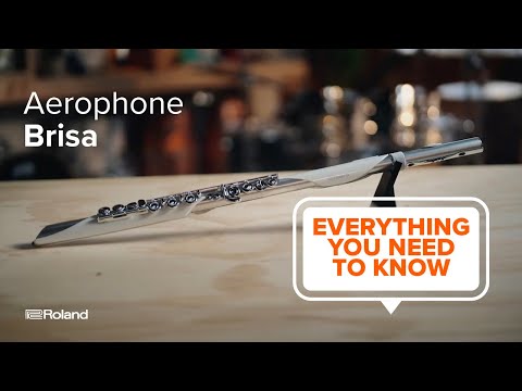 Roland AE-BRISA Aerophone Digital Wind Instrument