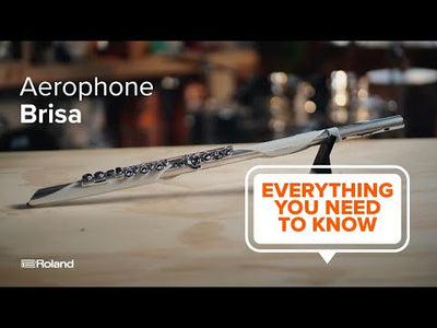 Roland AE-BRISA Aerophone Digital Wind Instrument