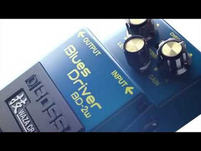 BOSS DM-2W Waza Craft Bucket Brigade Analog Delay Pedal