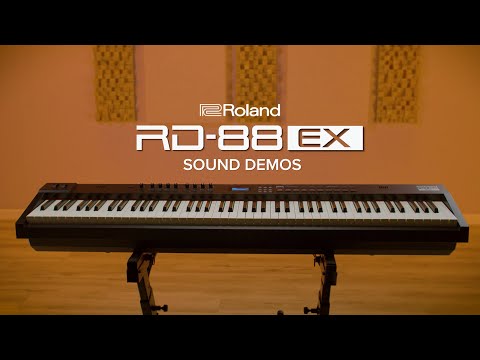 RD-88EX Stage Piano - Expanded – Roland Store London