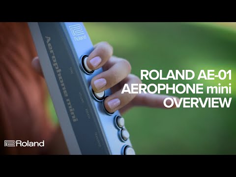Roland AE-01 Aerophone Mini – Roland Store London