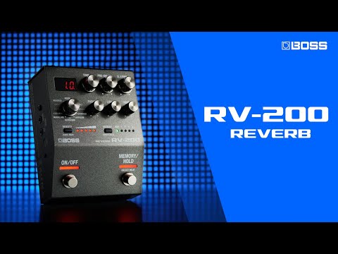 BOSS RV-200 Reverb Pedal – Roland Store London