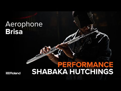 Roland AE-BRISA Aerophone Digital Wind Instrument