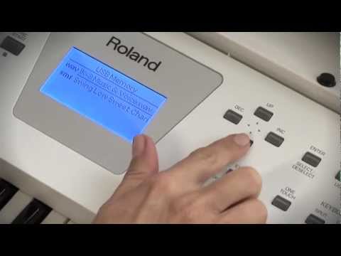 Roland BK-3 Portable Arranger Keyboard