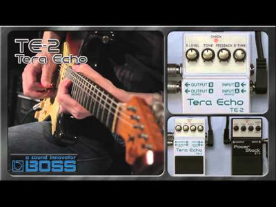 BOSS TE-2 Delay Effect Pedal