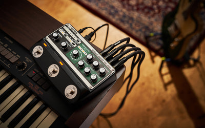 BOSS RE-202 Space Echo Pedal