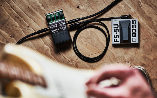 BOSS RE-2 Space Echo Pedal – Roland Store London